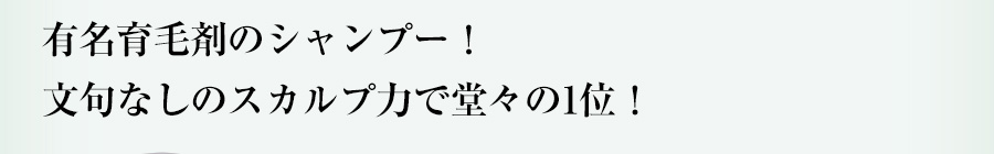 美容院でも実際に使用されている、有名育毛剤のシャンプー！文句なしのスカルプ力で堂々の1位！