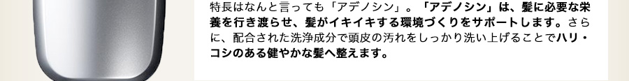 特長はなんと言っても「アデノシン」。「アデノシン」は、髪に必要な栄養を行き渡らせ、髪がイキイキする環境づくりをサポートします。さらに、配合された洗浄成分で頭皮の汚れをしっかり洗い上げることでハリ・コシのある健やかな髪へ整えます。