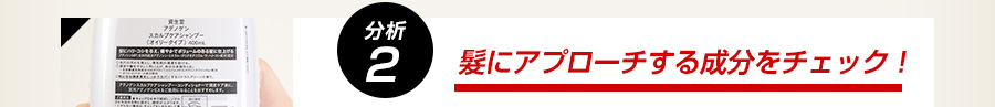 分析2 髪にアプローチする成分をチェック！